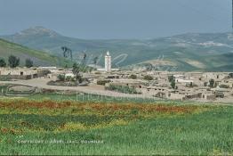 Image du Maroc Professionnelle de  Épanouissement des fleurs printanières autour d'un village dans la région de Zaouiat Cheikh non loin Kasba Tadla, Mercredi 22 Mars 1989. (Photo / Abdeljalil Bounhar) 